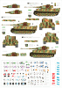 Star Decals 72-A1020 Western Front Tigers # 2 1/72